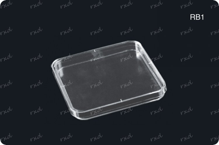 Petri dishes, Culture Plate