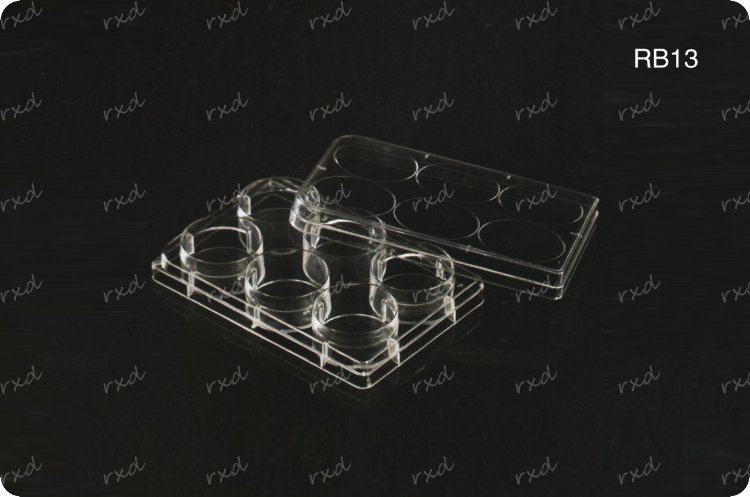 Petri dishes, Culture Plate